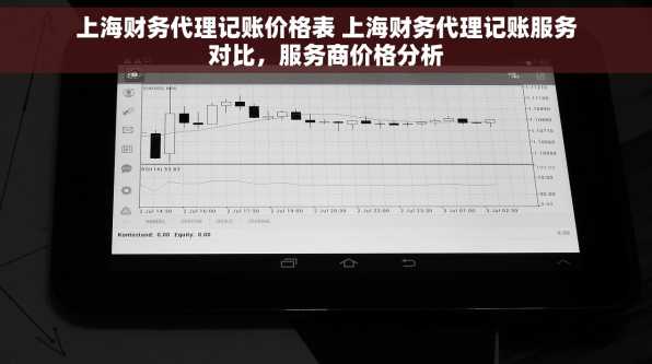 上海财务代理记账价格表 上海财务代理记账服务对比，服务商价格分析