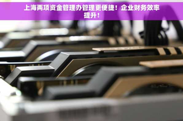 上海两项资金管理办管理更便捷！企业财务效率提升！