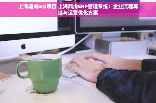 上海鼎虎erp项目 上海鼎虎ERP管理系统：企业流程再造与运营优化方案
