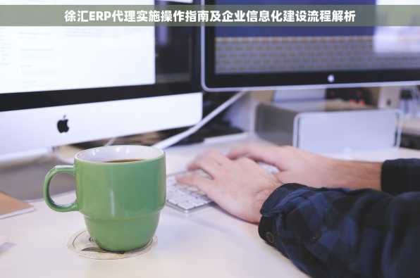 徐汇ERP代理实施操作指南及企业信息化建设流程解析