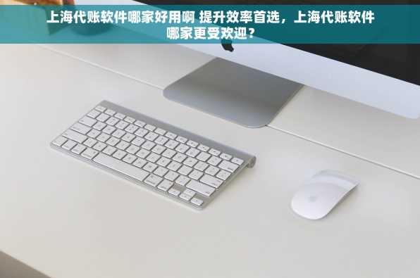 上海代账软件哪家好用啊 提升效率首选，上海代账软件哪家更受欢迎？