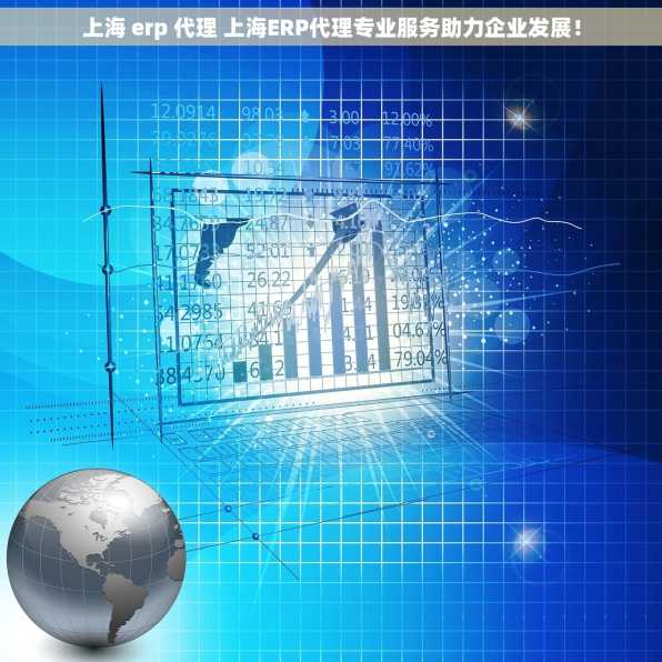 上海 erp 代理 上海ERP代理专业服务助力企业发展！