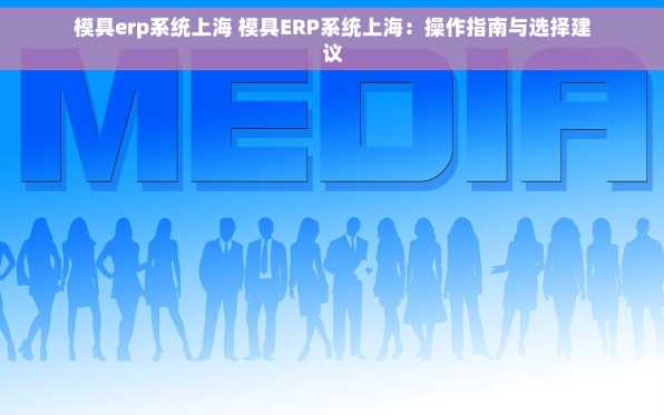 模具erp系统上海 模具ERP系统上海：操作指南与选择建议