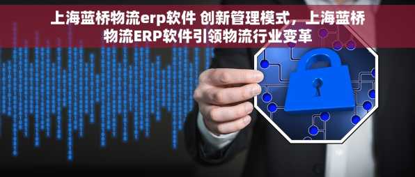 上海蓝桥物流erp软件 创新管理模式，上海蓝桥物流ERP软件引领物流行业变革