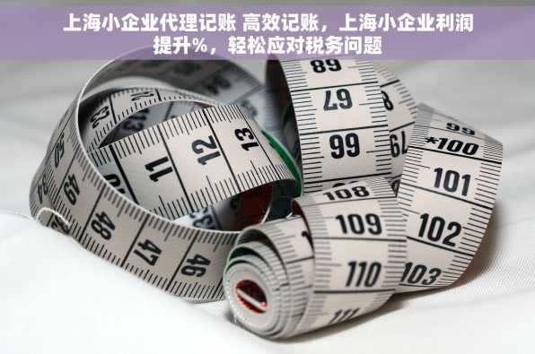 上海小企业代理记账 高效记账，上海小企业利润提升%，轻松应对税务问题