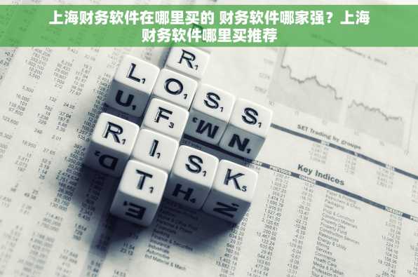 上海财务软件在哪里买的 财务软件哪家强？上海财务软件哪里买推荐