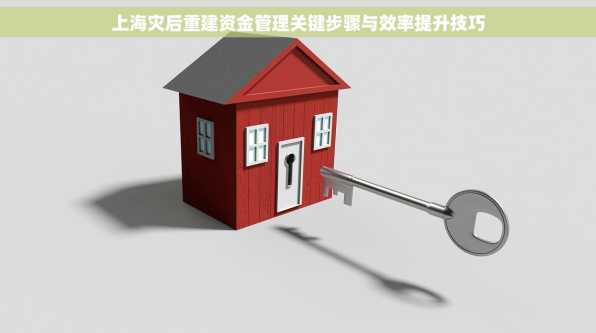 上海灾后重建资金管理关键步骤与效率提升技巧