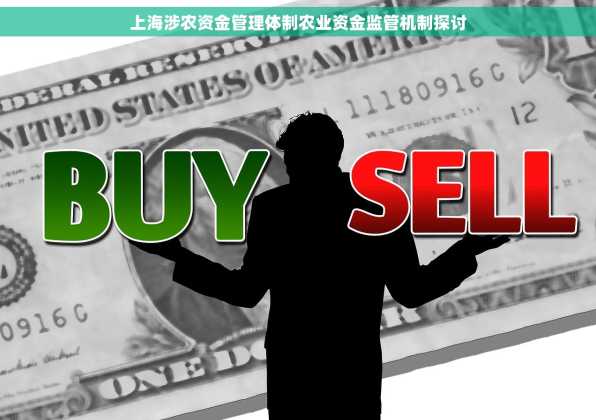 上海涉农资金管理体制农业资金监管机制探讨