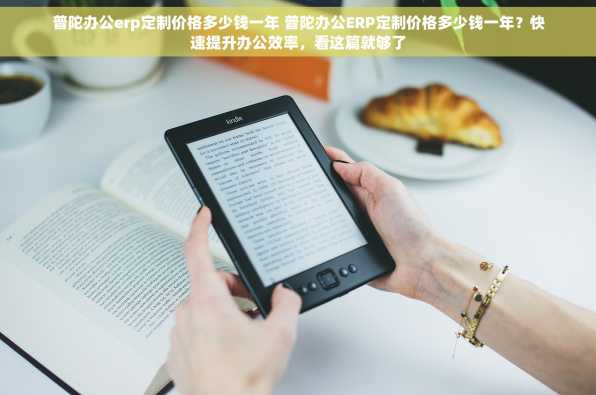 普陀办公erp定制价格多少钱一年 普陀办公ERP定制价格多少钱一年？快速提升办公效率，看这篇就够了