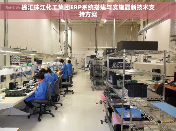 徐汇珠江化工集团ERP系统搭建与实施最新技术支持方案