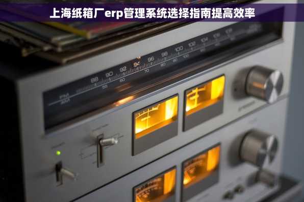 上海纸箱厂erp管理系统选择指南提高效率