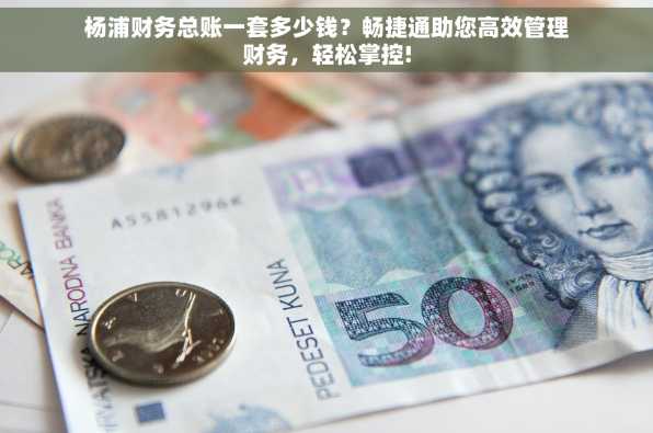 杨浦财务总账一套多少钱？畅捷通助您高效管理财务，轻松掌控!