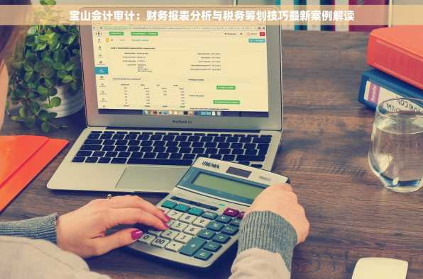 宝山会计审计：财务报表分析与税务筹划技巧最新案例解读