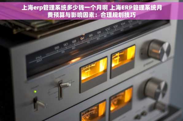 上海erp管理系统多少钱一个月啊 上海ERP管理系统月费预算与影响因素：合理规划技巧