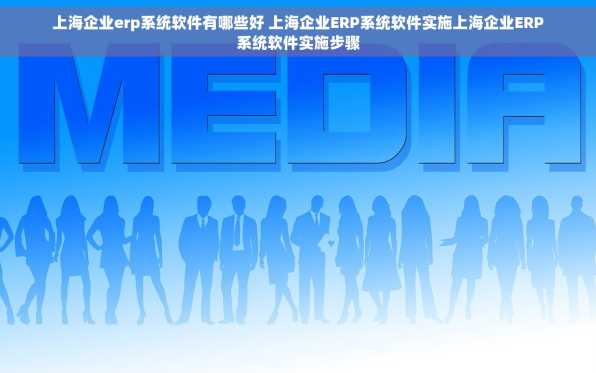 上海企业erp系统软件有哪些好 上海企业ERP系统软件实施上海企业ERP系统软件实施步骤