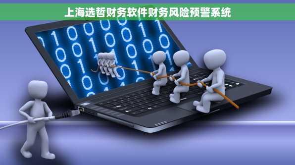 上海选哲财务软件财务风险预警系统