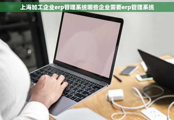 上海加工企业erp管理系统哪些企业需要erp管理系统