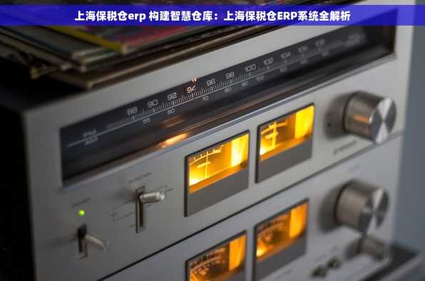 上海保税仓erp 构建智慧仓库：上海保税仓ERP系统全解析