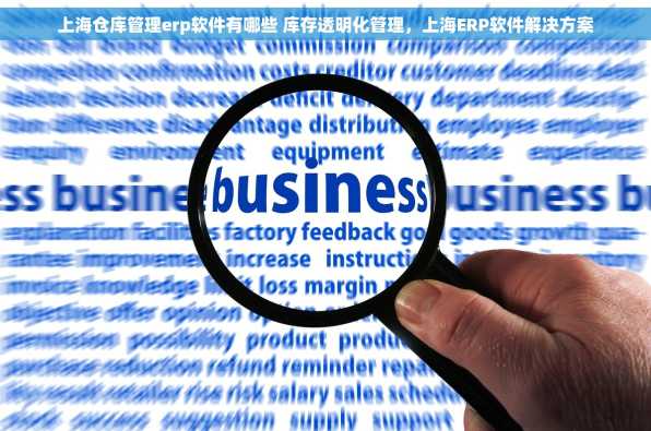 上海仓库管理erp软件有哪些 库存透明化管理，上海ERP软件解决方案