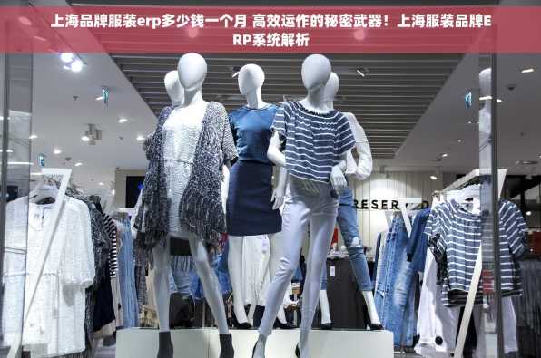 上海品牌服装erp多少钱一个月 高效运作的秘密武器！上海服装品牌ERP系统解析