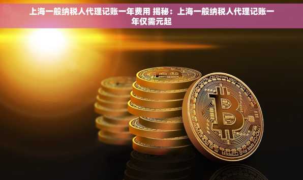 上海一般纳税人代理记账一年费用 揭秘：上海一般纳税人代理记账一年仅需元起