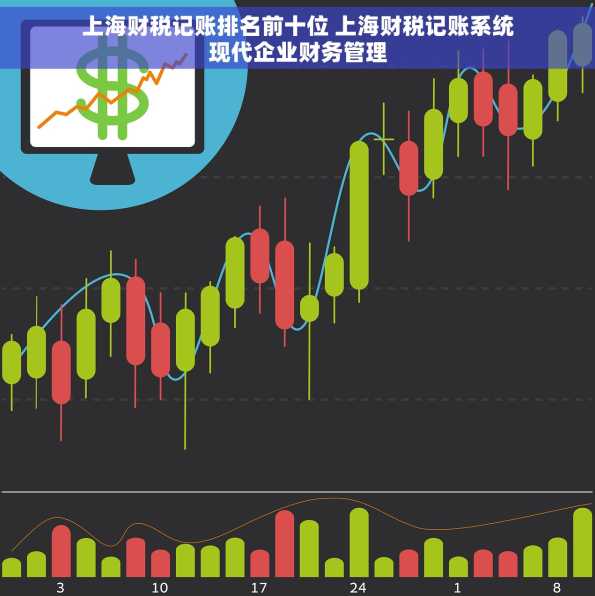 上海财税记账排名前十位 上海财税记账系统现代企业财务管理