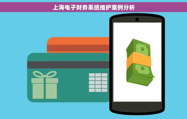 上海电子财务系统维护案例分析