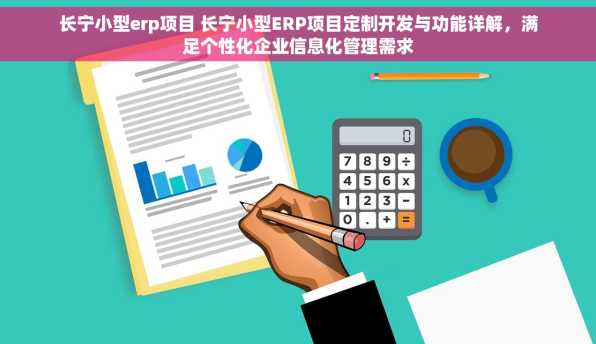 长宁小型erp项目 长宁小型ERP项目定制开发与功能详解，满足个性化企业信息化管理需求