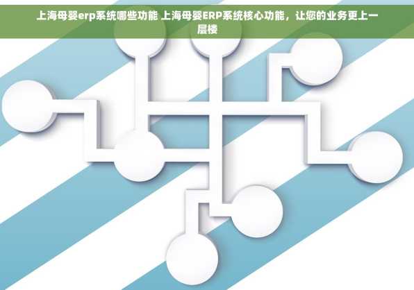 上海母婴erp系统哪些功能 上海母婴ERP系统核心功能，让您的业务更上一层楼