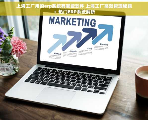 上海工厂用的erp系统有哪些软件 上海工厂高效管理秘籍：热门ERP系统解析