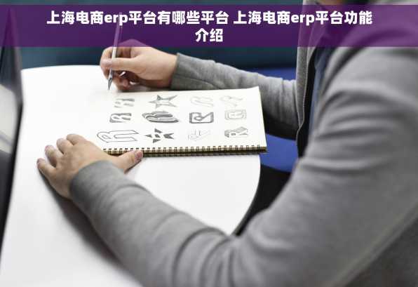 上海电商erp平台有哪些平台 上海电商erp平台功能介绍