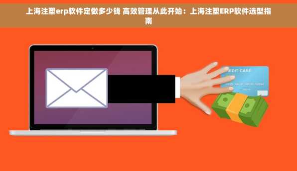 上海注塑erp软件定做多少钱 高效管理从此开始：上海注塑ERP软件选型指南