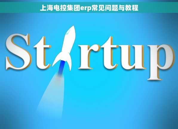 上海电控集团erp常见问题与教程