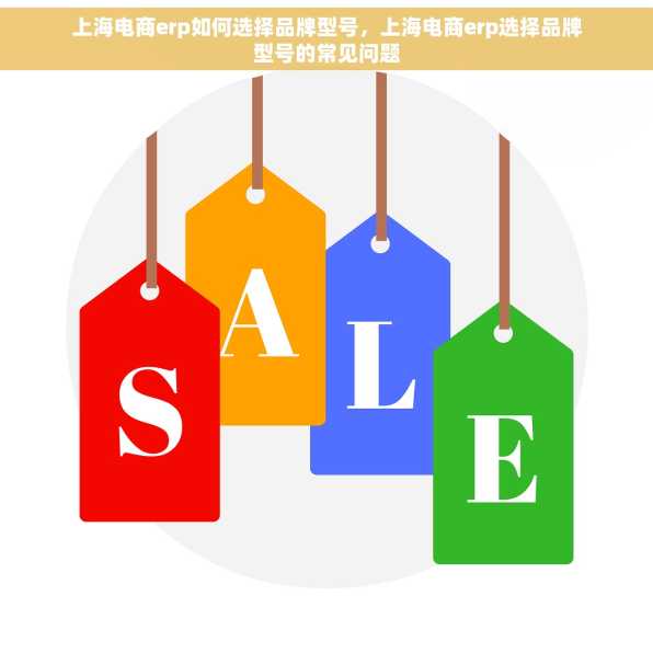上海电商erp如何选择品牌型号，上海电商erp选择品牌型号的常见问题