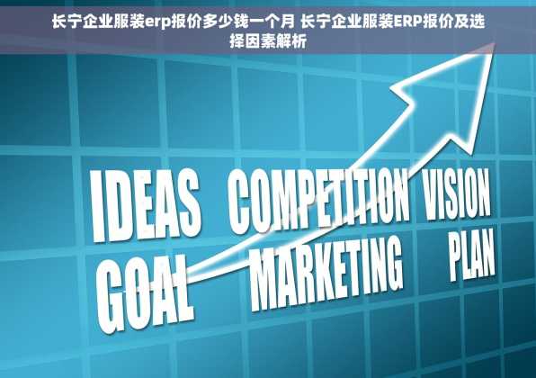长宁企业服装erp报价多少钱一个月 长宁企业服装ERP报价及选择因素解析