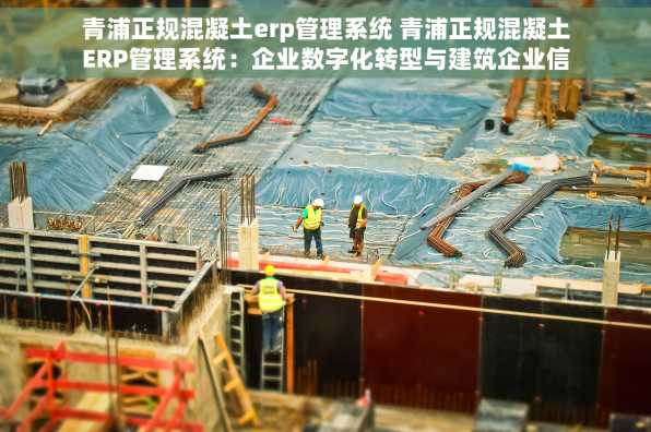 青浦正规混凝土erp管理系统 青浦正规混凝土ERP管理系统：企业数字化转型与建筑企业信息化建设利器