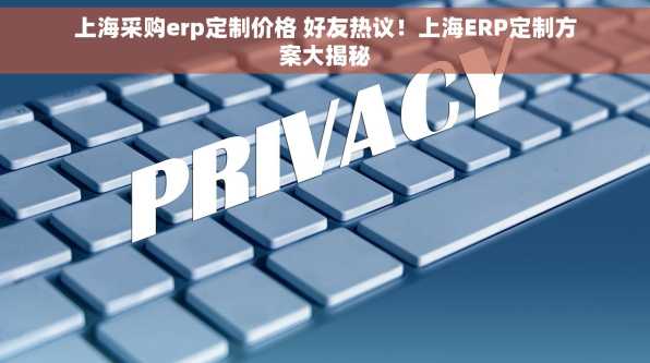 上海采购erp定制价格 好友热议！上海ERP定制方案大揭秘