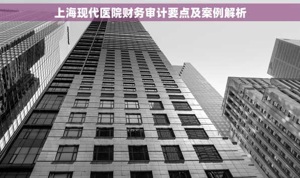 上海现代医院财务审计要点及案例解析