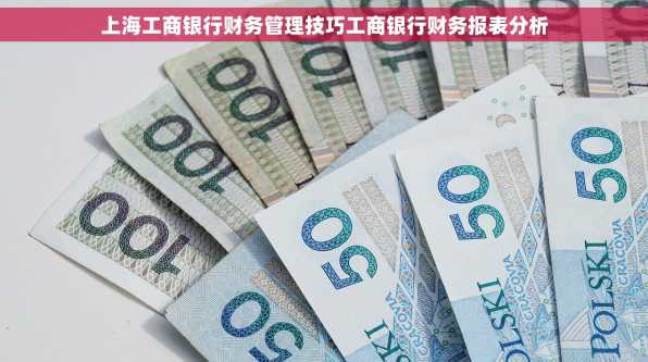 上海工商银行财务管理技巧工商银行财务报表分析