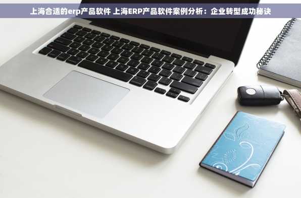 上海合适的erp产品软件 上海ERP产品软件案例分析：企业转型成功秘诀