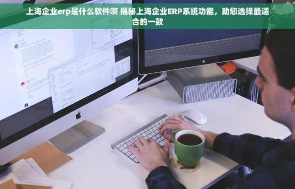 上海企业erp是什么软件啊 揭秘上海企业ERP系统功能，助您选择最适合的一款