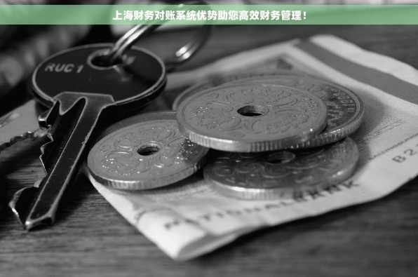 上海财务对账系统优势助您高效财务管理！