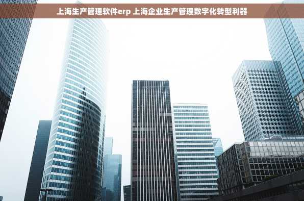 上海生产管理软件erp 上海企业生产管理数字化转型利器