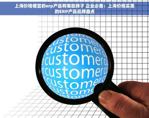 上海价格便宜的erp产品有哪些牌子 企业必备：上海价格实惠的ERP产品品牌盘点