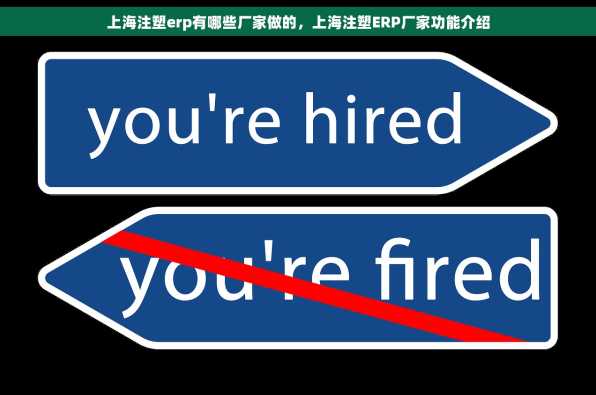 上海注塑erp有哪些厂家做的，上海注塑ERP厂家功能介绍