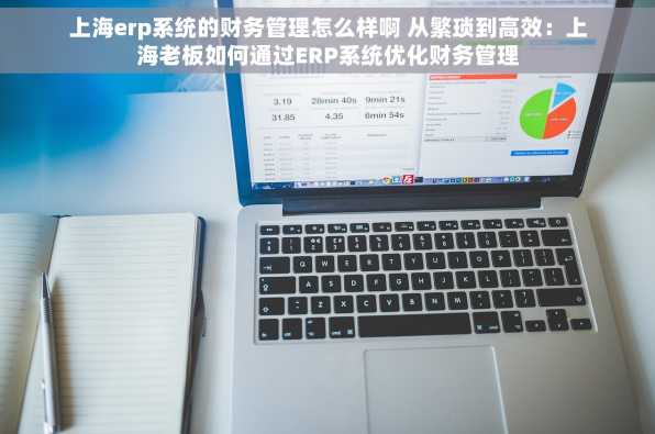 上海erp系统的财务管理怎么样啊 从繁琐到高效：上海老板如何通过ERP系统优化财务管理