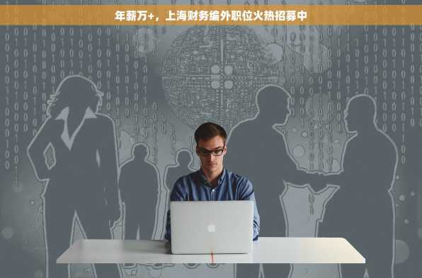 年薪万+，上海财务编外职位火热招募中
