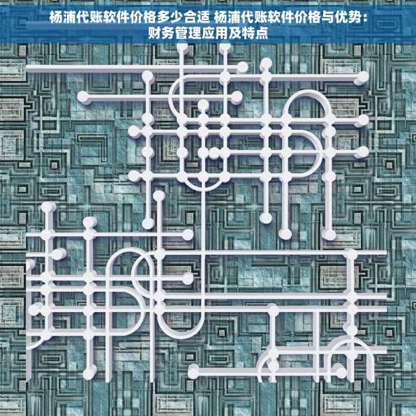 杨浦代账软件价格多少合适 杨浦代账软件价格与优势：财务管理应用及特点