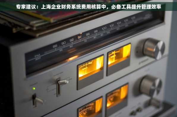 专家建议：上海企业财务系统费用核算中，必备工具提升管理效率