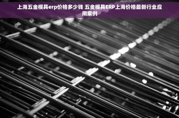 上海五金模具erp价格多少钱 五金模具ERP上海价格最新行业应用案例